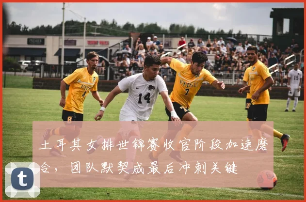 土耳其女排世锦赛收官阶段加速磨合，团队默契成最后冲刺关键 - 百度体育推荐