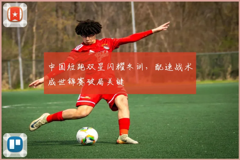 中国短跑双星闪耀冬训，配速战术成世锦赛破局关键 - 百度体育推荐
