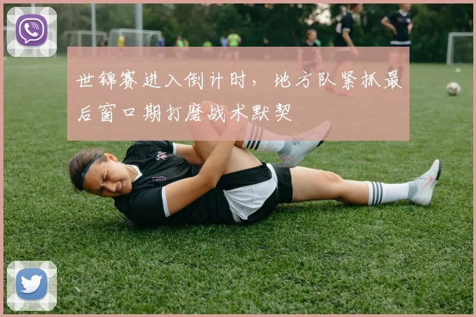 世锦赛进入倒计时，地方队紧抓最后窗口期打磨战术默契 - 百度体育精选